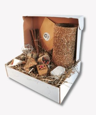 קופסה חודשית לארנב