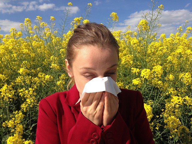 woman-allergy-sneeze