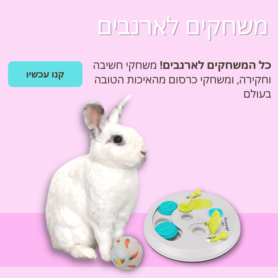 צשחקים לארנבים