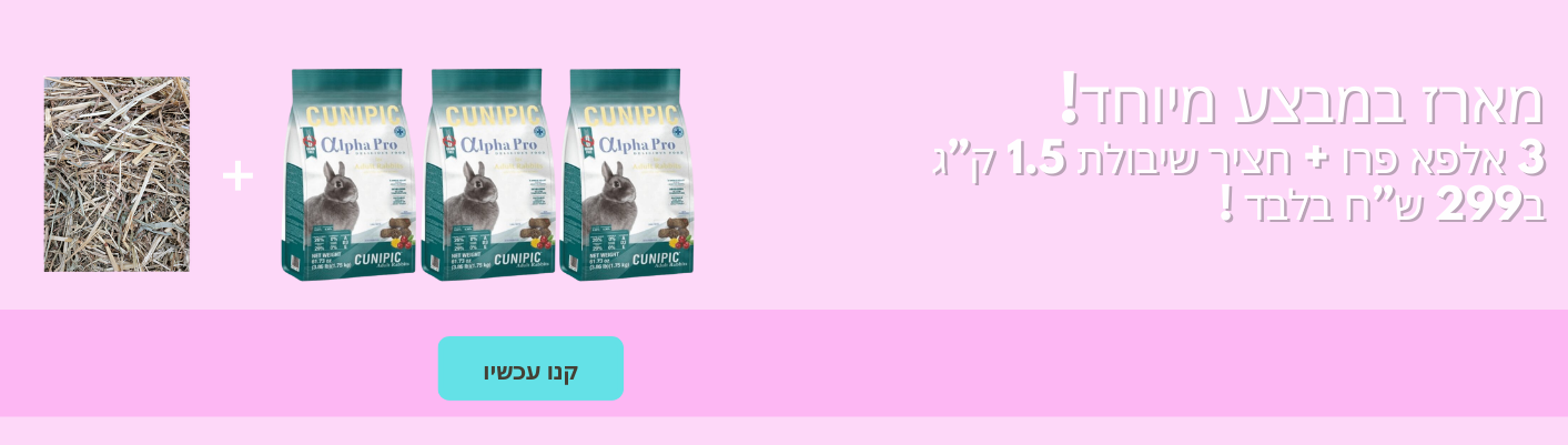 מוצרים לכלבים