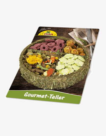 צלחת גסטרו גורמה לארנב