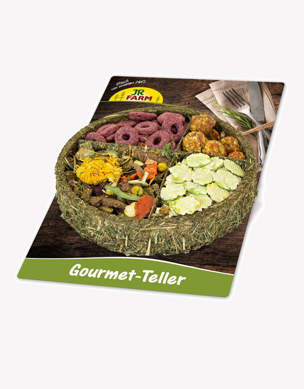 צלחת גסטרו גורמה לארנב