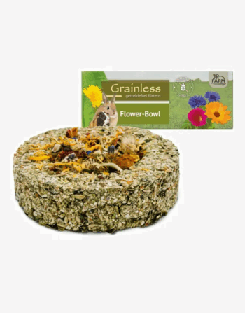 קערת פרחים לארנב