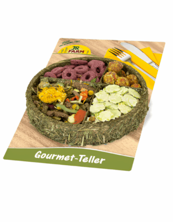 JR צלחת גורמה 100 גרם