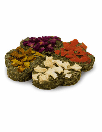 JR גריינלס רבעיית צמחי מרפא למכרסמים 60 גרם