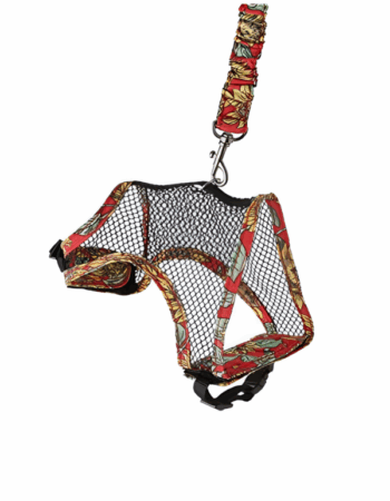 רצועה לארנב FLAMINGO L