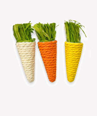 3 צעצועי לעיסה גזר לארנב