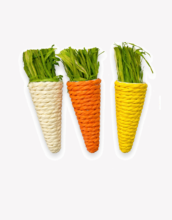 3 צעצועי לעיסה גזר לארנב